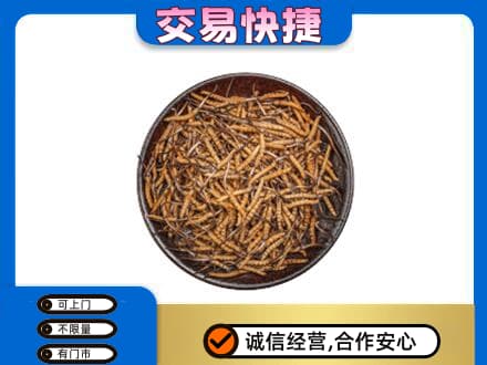 回收散虫草